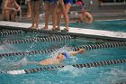 Swim vs Bentley  Wheaton College Swimming & Diving vs Bentley University. - Photo by Keith Nordstrom : Wheaton, Swimming & Diving